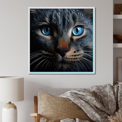 " Cat Blue Eye Reflection "