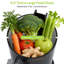 Extracteur de jus à pressage avancé à contrôle par pression: 5,4 po de largeur, moteur silencieux, rendement élevé - mastication de fruits entiers / légumes