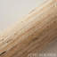 Sonota Arrowroot Wallpaper