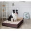 Lit pour chien Braham Jumbo - Mousse à mémoire de forme de 7 po d'épaisseur avec coussin, housse amovible et doublure imperméable