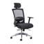 Mesh Task Chair