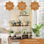 Plant Stand