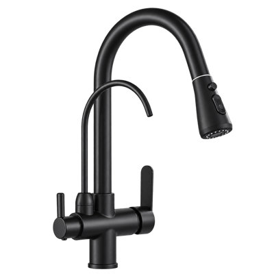 Robinet de cuisine Bruxelles - Noir 3 en 1 avec filtre à eau froide et douchette double extractible