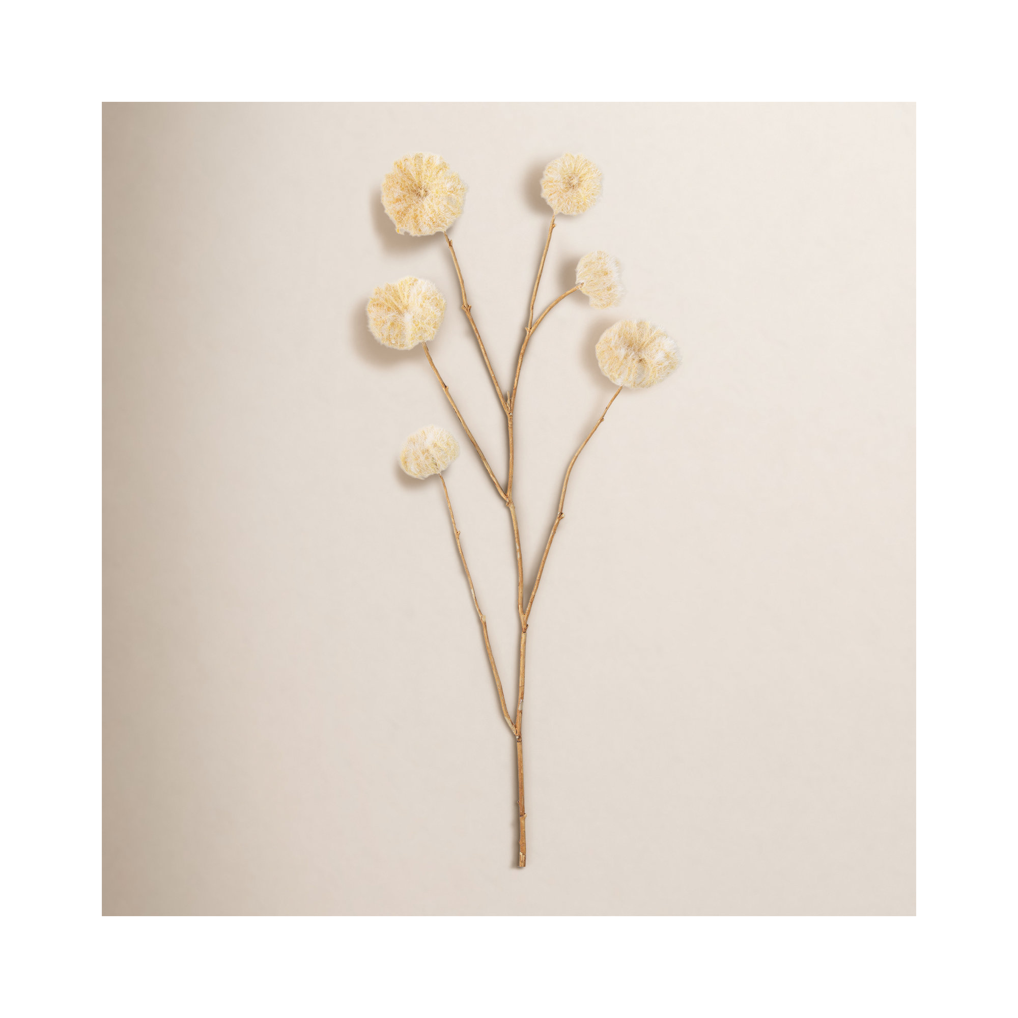 Madie Pod Stems, Off-White