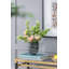 Vase de table en verre Abels-1503765805