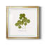 «Pressed Clover II», reproduction encadrée de qualité supérieure - prête à être accrochée-666560546-666560571