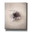 «Nest III» par Debra Van Swearingen, art mural sur toile-1453952881