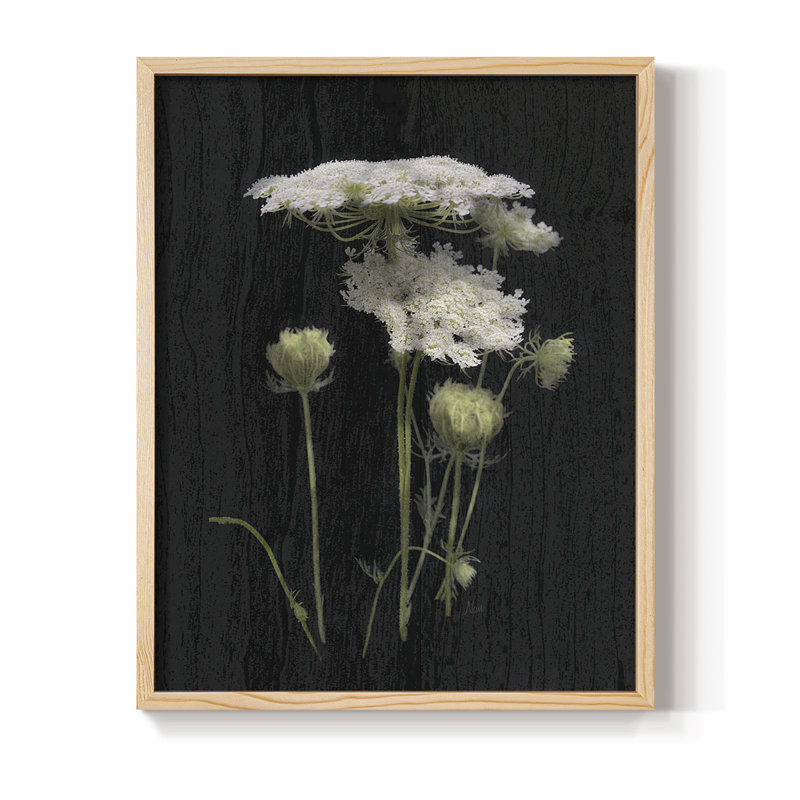 Reproduction encadrée de Queens Lace II - bois massif, H 15 po x l 12 po