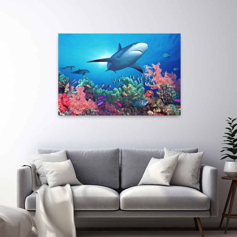 Low Angle View Of A Shark Swimming Underwater Indo-Pacific Ocean Abstract Contemporary Shark Landscape Nature Art