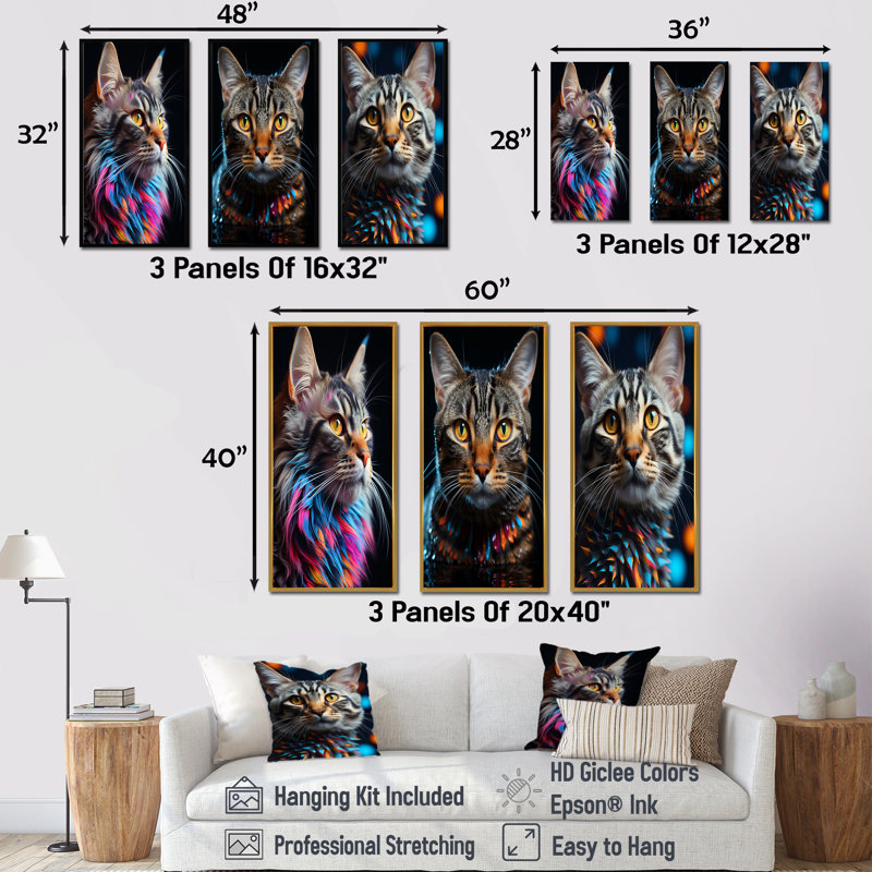 American Shorthair Harmony Cat, Cadre flottant noir, H 32 po x l 48 po