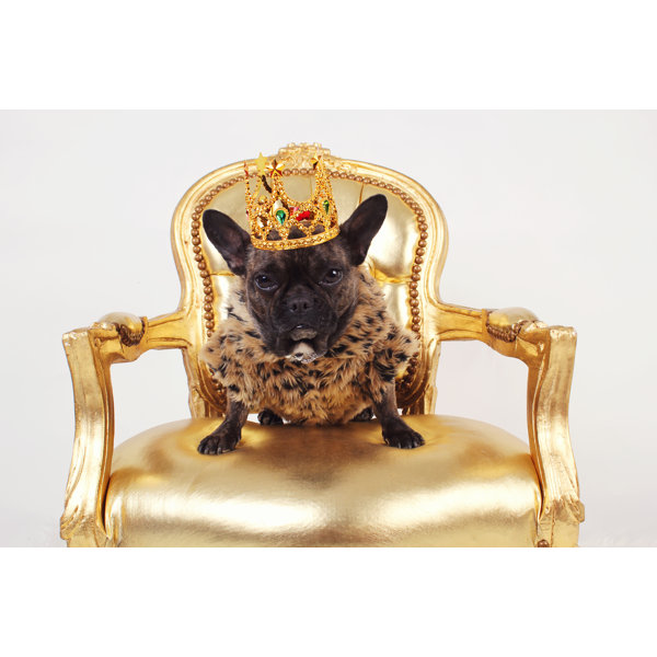 Trinx Dog King On Canvas by Jlfotonl Print | Wayfair