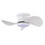Ventilateur de plafond lumineux blanc Niamh