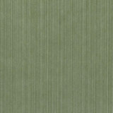 Velvet Encyclopedia IV Fabric