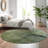 Premium Machine Washable Prisco Green Rug-914083802