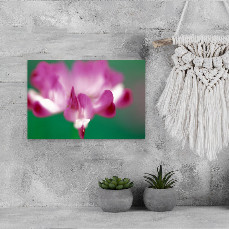 Photographie murale en gros plan d'une fleur rose contemporaine, H 12 po x l 18 po