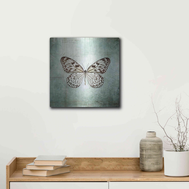 «French Butterfly V» par Debra Van Swearingen, H 12 po x l 12 po
