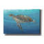 «Ocean Sea Turtle II» par Tim O'toole, art mural sur toile-763830824