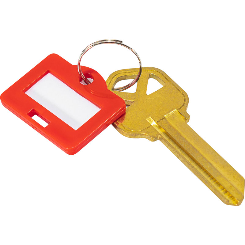 100  KEY TAGS SMALL