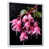 Black Picture Framed