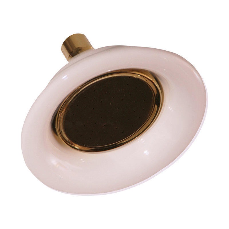 Full/Standard Adjustable Shower Head 2.5 GPM GPM, Polished Brass