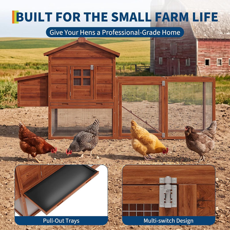Chicken Coop