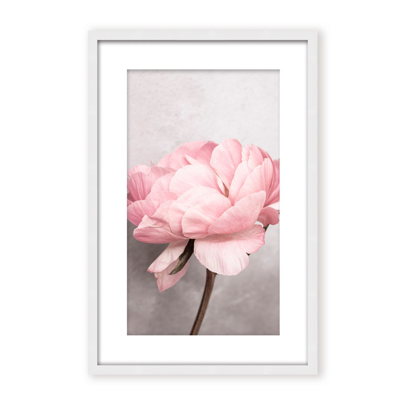 Nature Inspired Peony by  - Picture Frame Photograph on Paper, 24" H x 16" W x 1.125" D, Black, Framed Matted Print