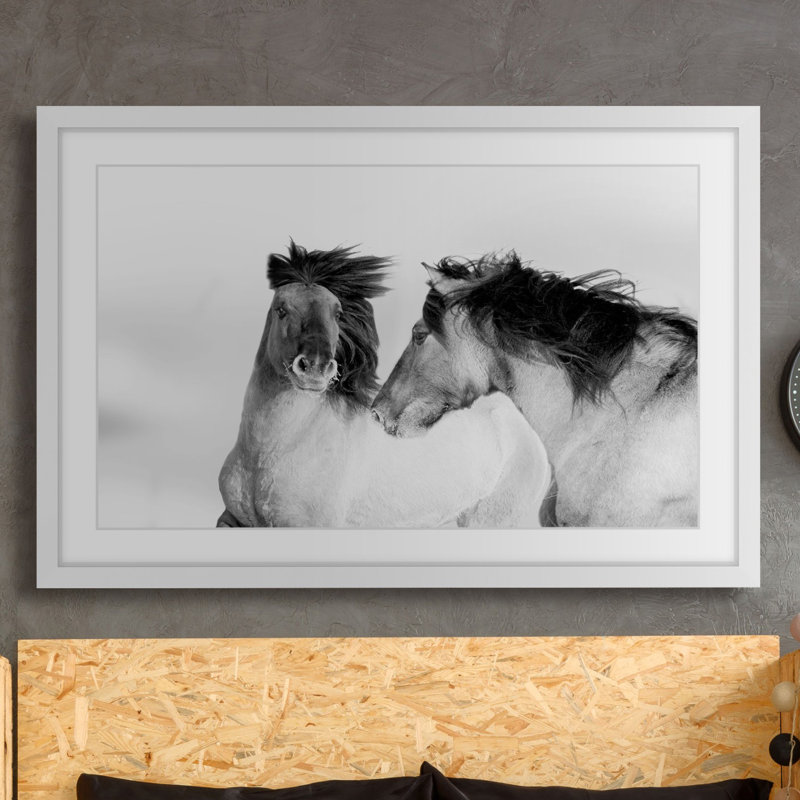 « flowing manes », reproduction de photo sur papier encadrée, H 30 po x l 45 po x P 1,5 po