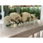 Arrangement floral orchidées Casa Moderna