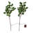 Lighted Eucalyptus Branch with 32 LED Lights