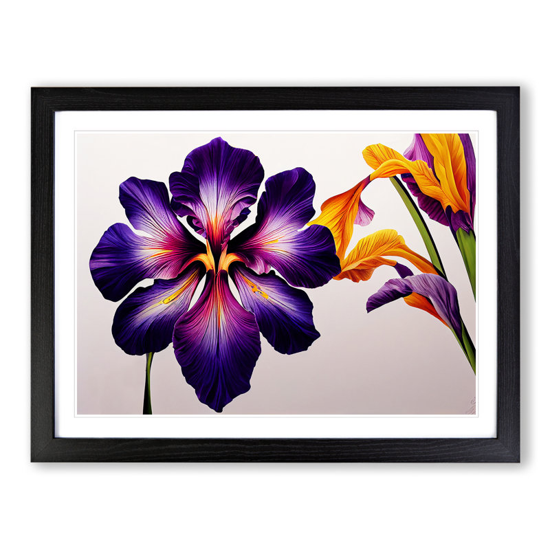 Brilliant Iris Flowers - Single Picture Frame Print, Black Framed, 46cm H x 64cm W x 2cm D