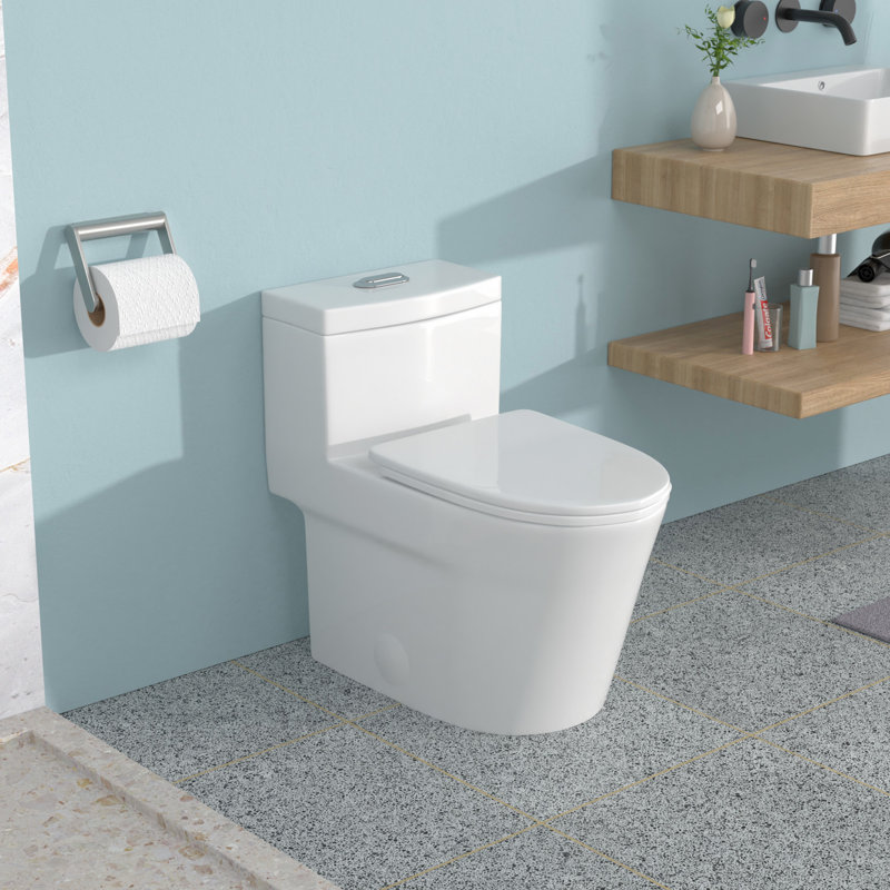 Toilette en céramique une pièce avec douchette brute de 12 po, double chasse 1,24 / 1,43, siège à fermeture douce, conception à jupe silencieuse pour rester propre plus longtemps dans la toilette, chasse d'eau, propreté