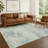 Machine Washable Indoor/Outdoor Erfried ACN2371 Abstract Rug-895661966