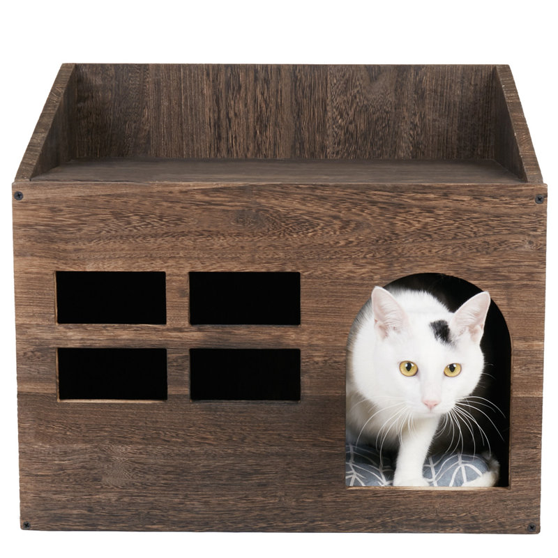 Maison pour chat