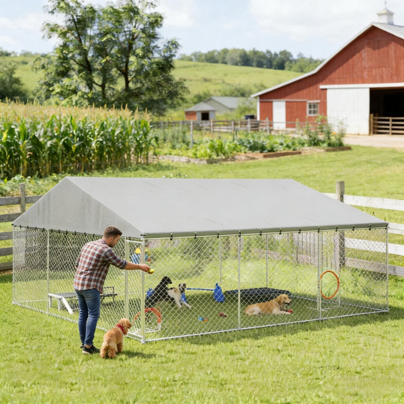 Enclos d'exercice et chenils de cour