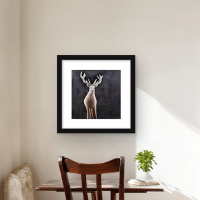 Lonely deer - Wildlife