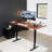 VIVO Electric Dual Motor 71” x 30” Standing Desk, E2B7B Series-87776488