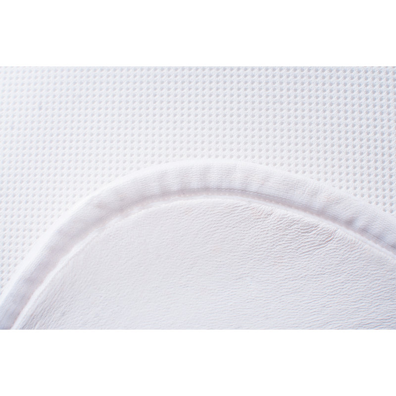 Symple Stuff Mattress Protector Mattress