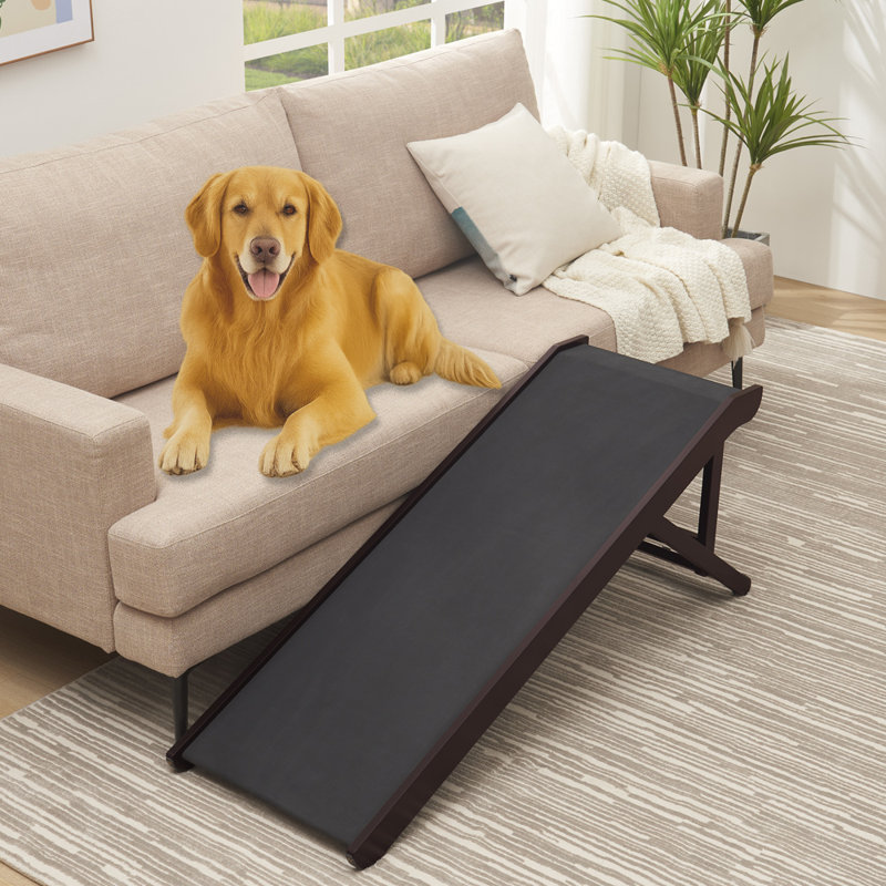 Rampe réglable pour animaux Wegate, Espresso, H 20,5 po x l 48 po x P 16,2 po