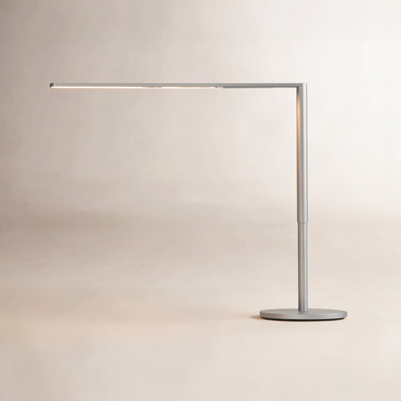 Lady7 Adjustable Metal USB Desk Lamp, Silver
