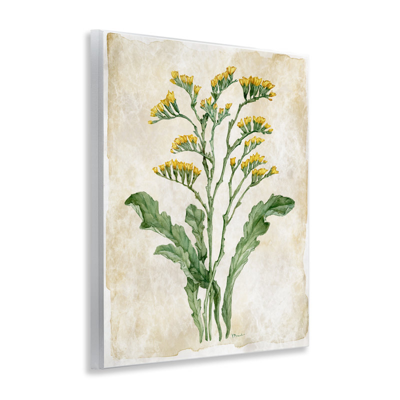 «Vintage Floral Journal», plaque murale par Paul Brent