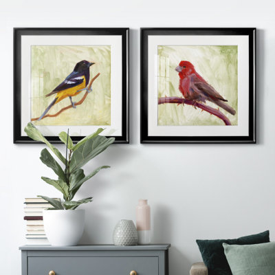Backyard Birds I - Natural History Print, Matted and Framed Under Acrylic Glass, Set of 2, Study and Living Room Wall Art