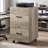 Brandice 15.7'' Wide 2 -Drawer Mobile File Cabinet