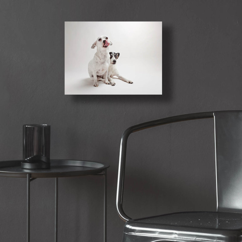 «Mouse Jack», H 12 po x l 16 po x P 0,13 po