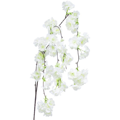 Tige de fleur de cerisier en fleurs