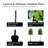Hand-Made Primrue Modern 6.5'' Artificial Ficus Tree