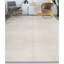 Area Rug in Gray
