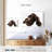 Brampt Chocolate Colored Labrador-107869032