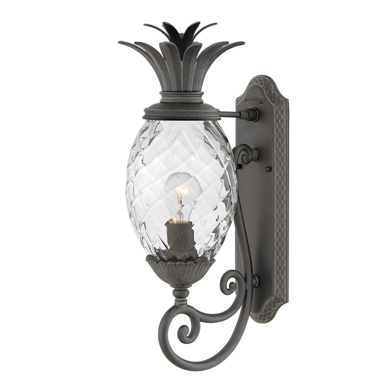 Alahya 54.1cm H Outdoor Wall Lantern, Museum Black