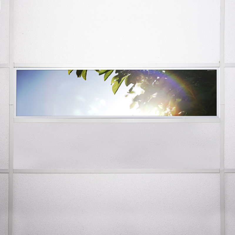Tree Rectangle Fixture Component Ceiling Light