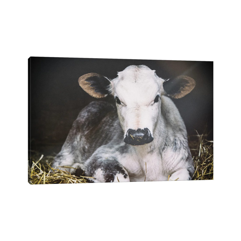 Busy Day Crop by Aledanda - Wrapped Canvas Print, 66.04 cm H x 45.72 cm W x 3.175 cm D